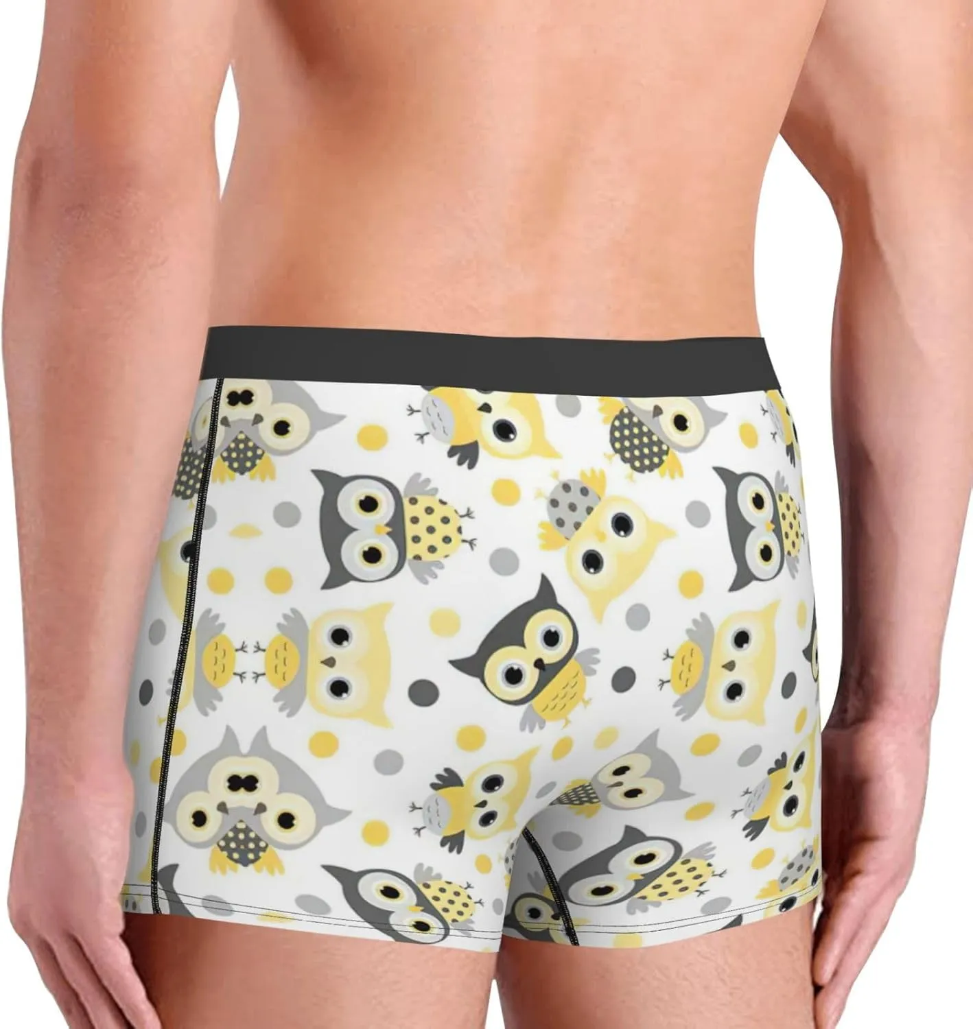 Animal Cartoon Owls Cute Boxer Briefs, Moisture Wicking & Breathable,Underwear for Men