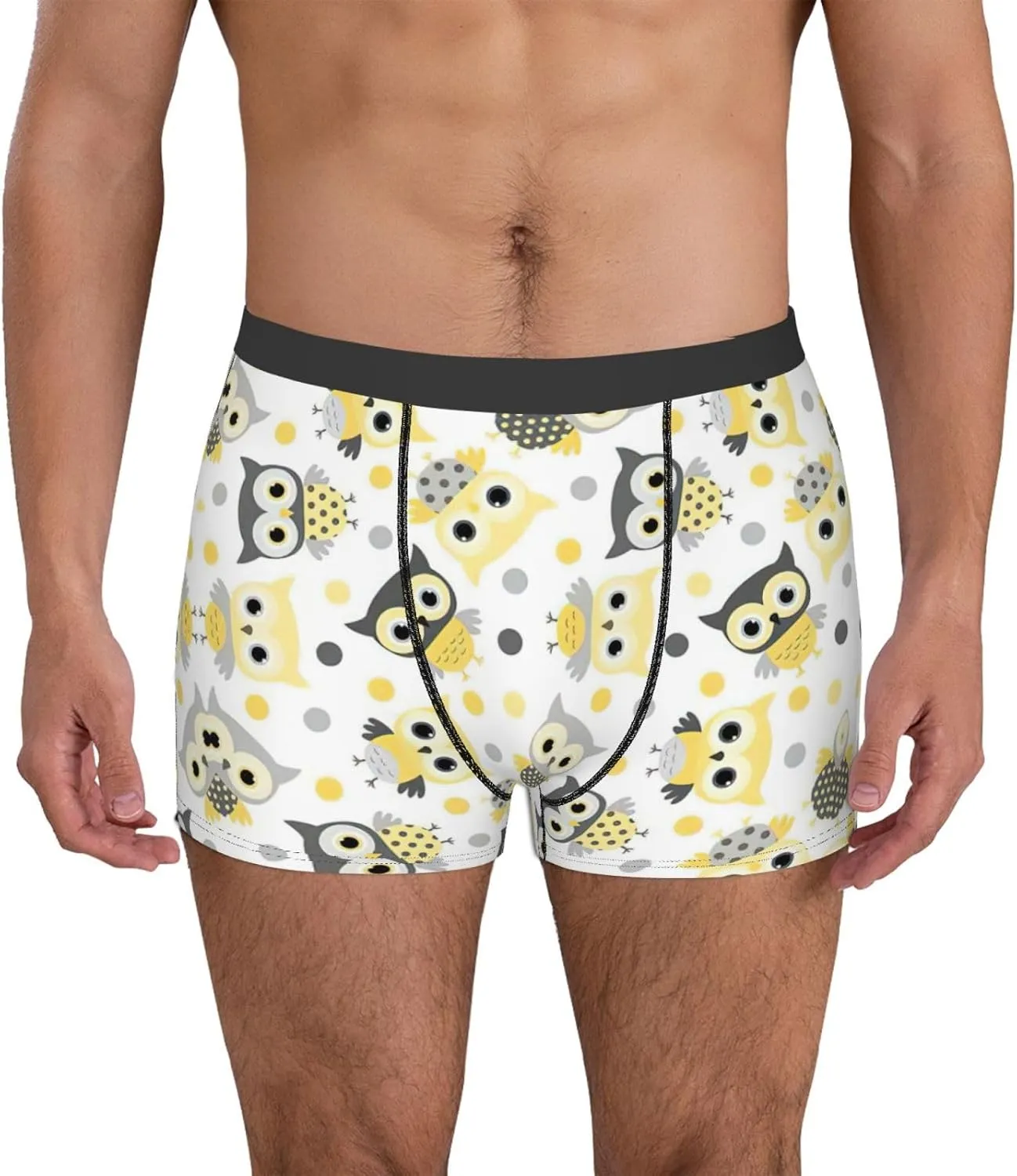 Animal Cartoon Owls Cute Boxer Briefs, Moisture Wicking & Breathable,Underwear for Men