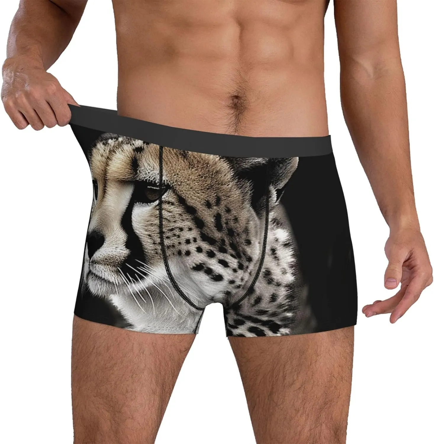 Cheetah Men's Boxer Briefs Breathable Stretch Underwear Moisture-Wicking Trunks for Men