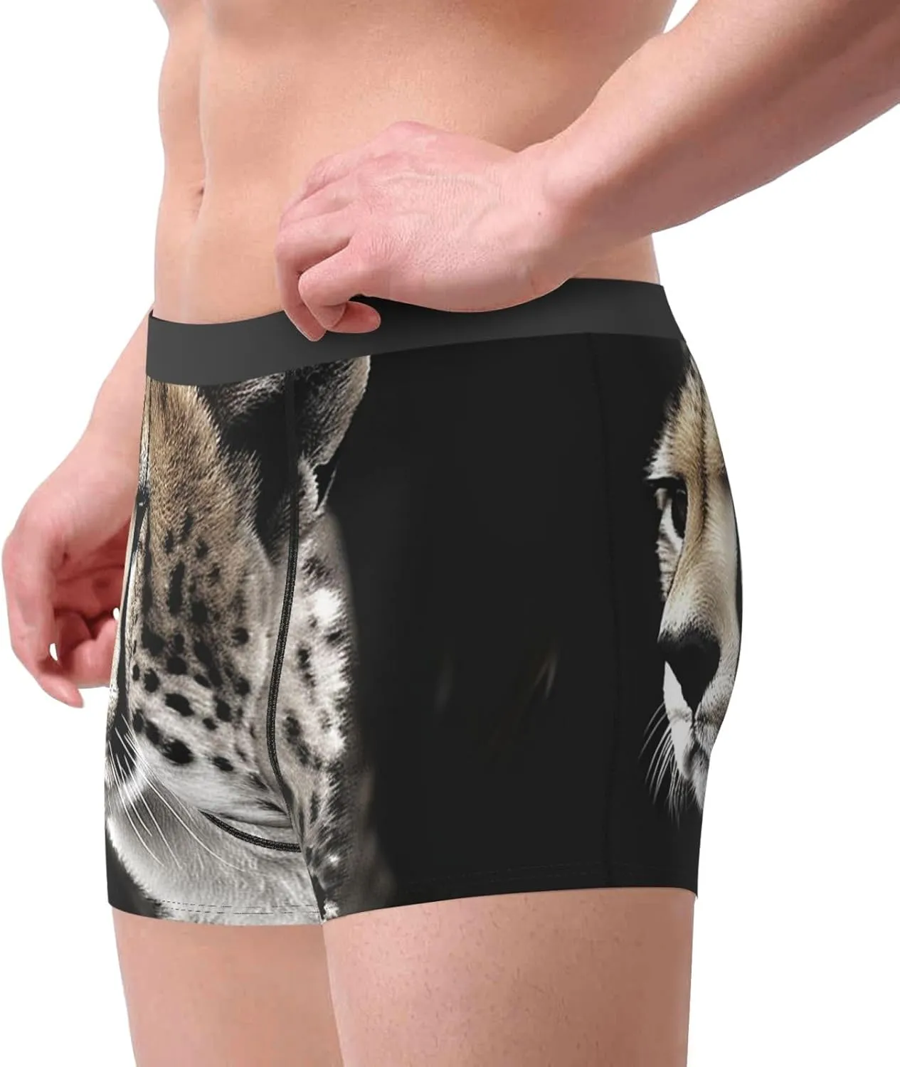 Cheetah Men's Boxer Briefs Breathable Stretch Underwear Moisture-Wicking Trunks for Men