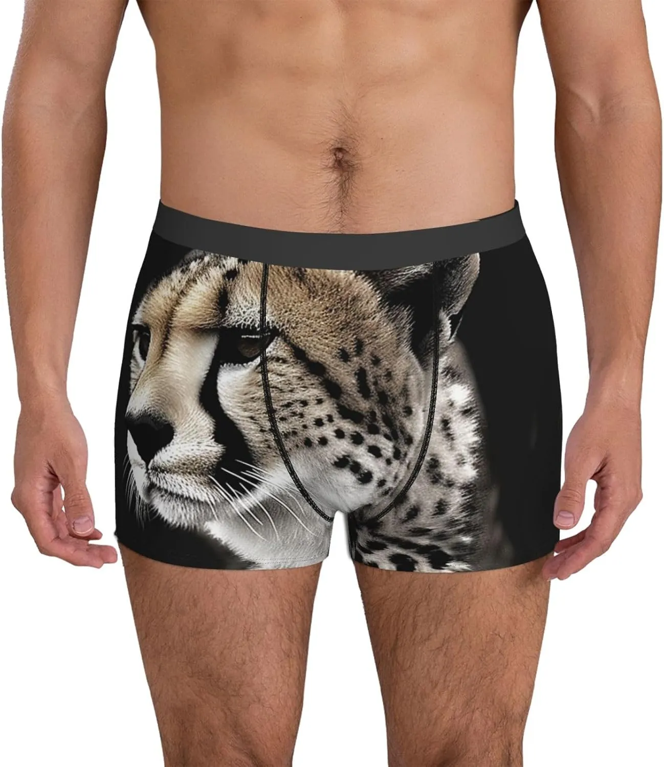 Cheetah Men's Boxer Briefs Breathable Stretch Underwear Moisture-Wicking Trunks for Men