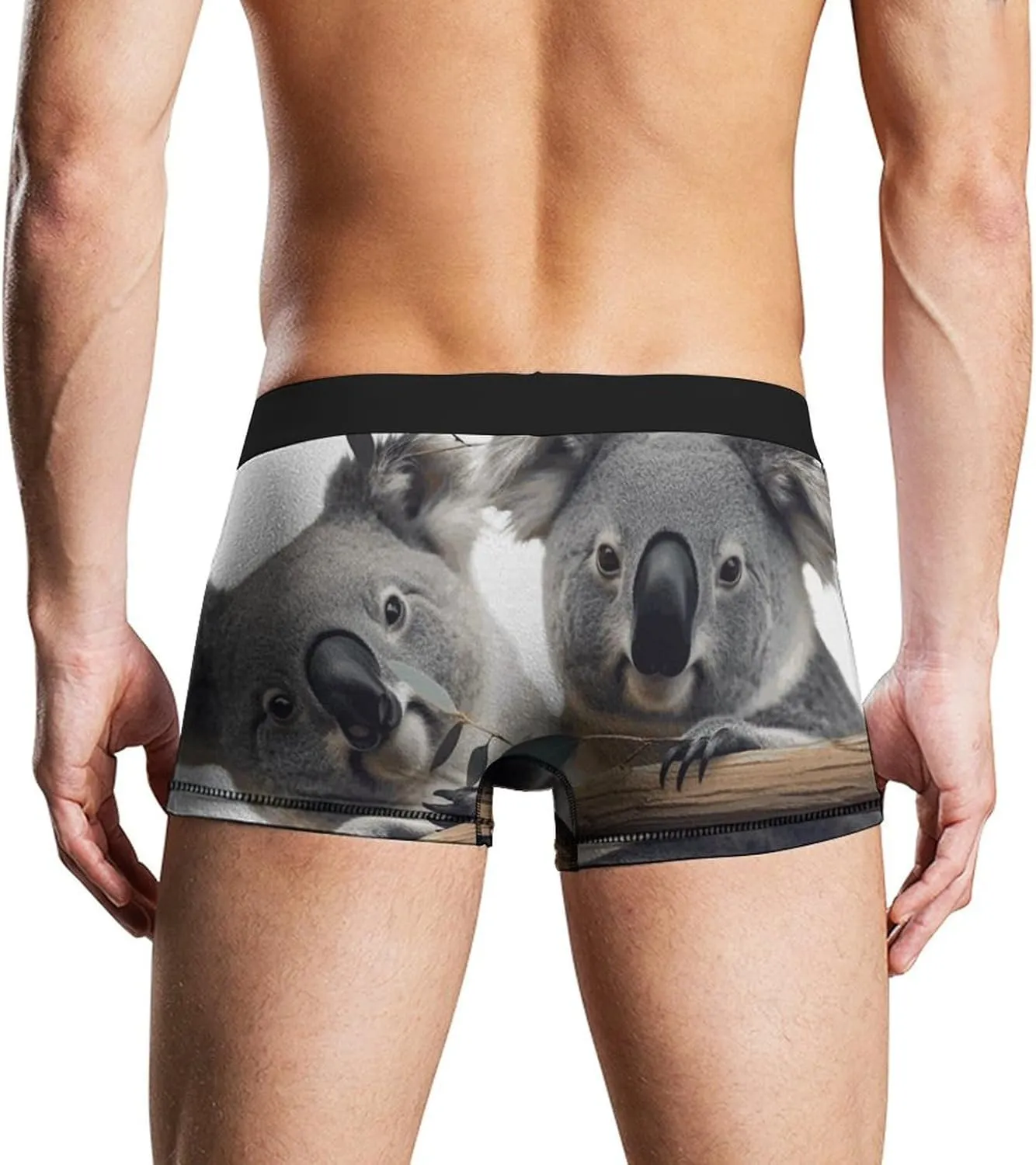 Funny Koalas Men's Boxer Briefs Breathable Underwear Comfortsoft Moisture-Wicking Trunks Underwear
