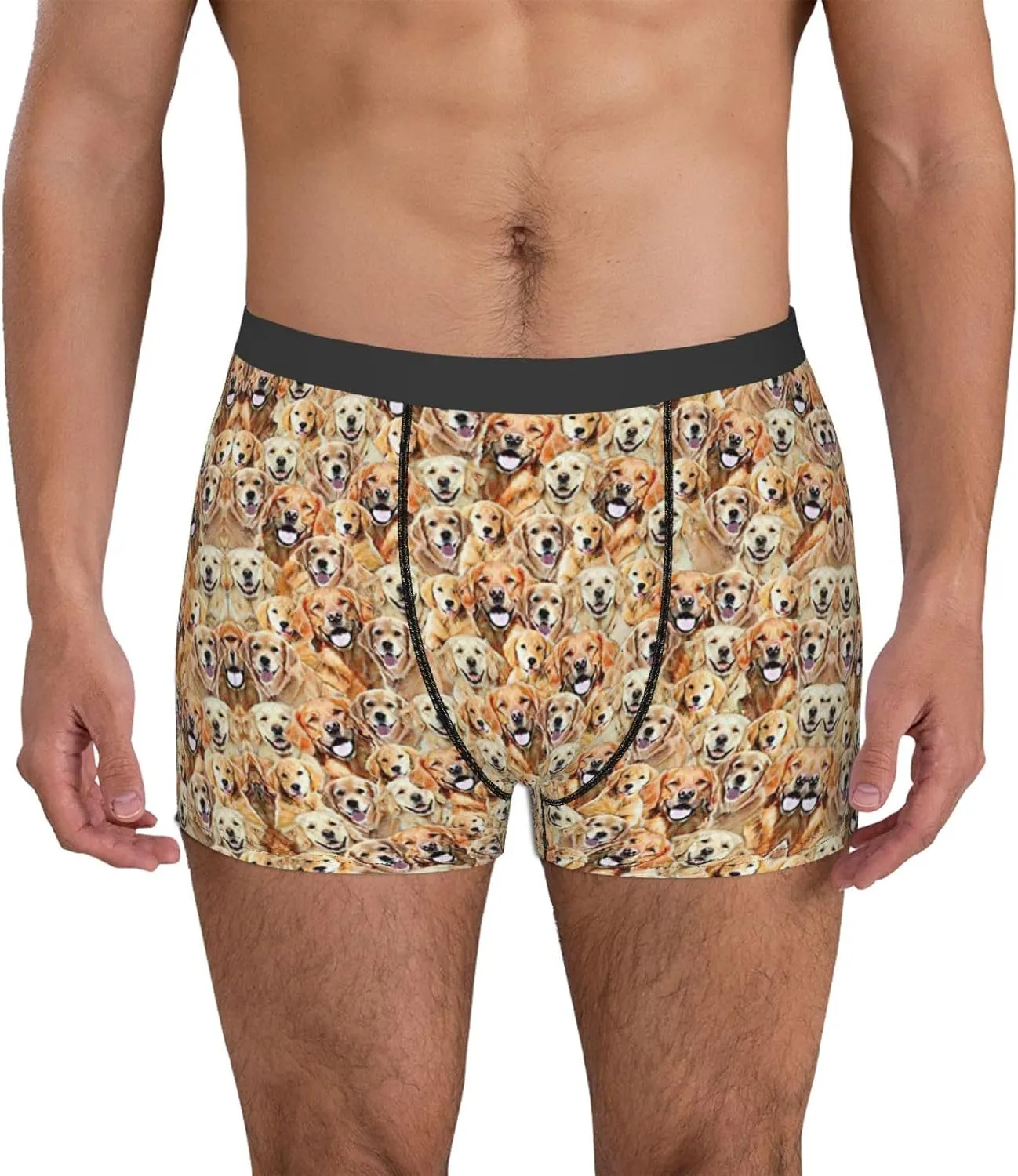 labrador retriever Dogs Boxer Briefs, Moisture Wicking & Breathable,Underwear for Men