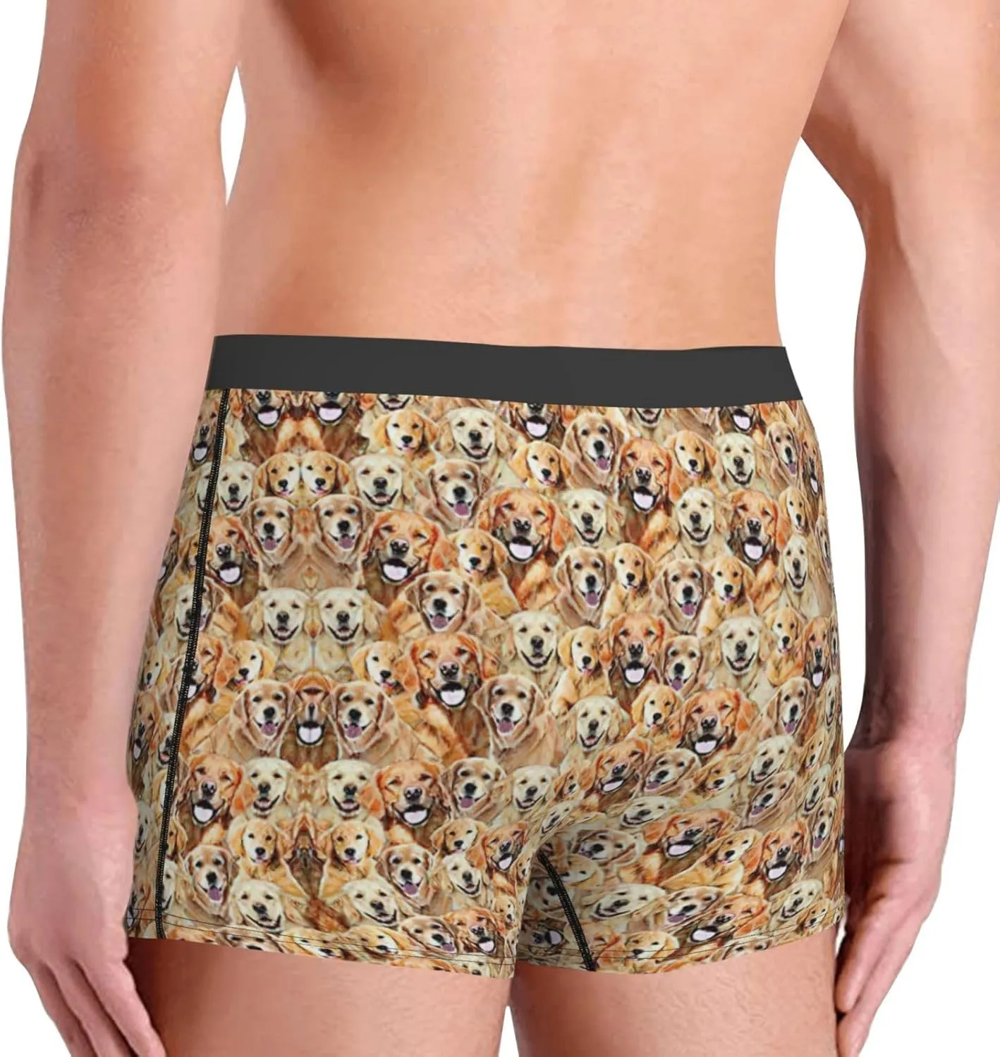 labrador retriever Dogs Boxer Briefs, Moisture Wicking & Breathable,Underwear for Men